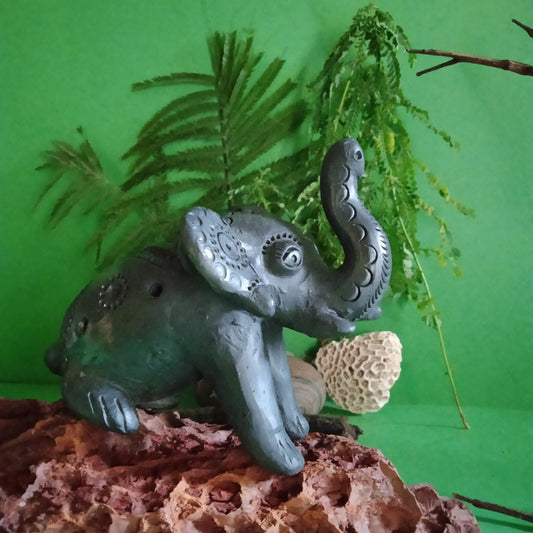 Black Pottery of Sawai Madhopur