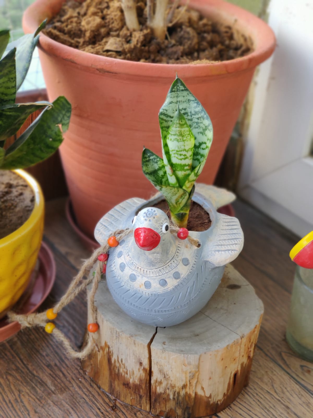Hanging Bird Planter