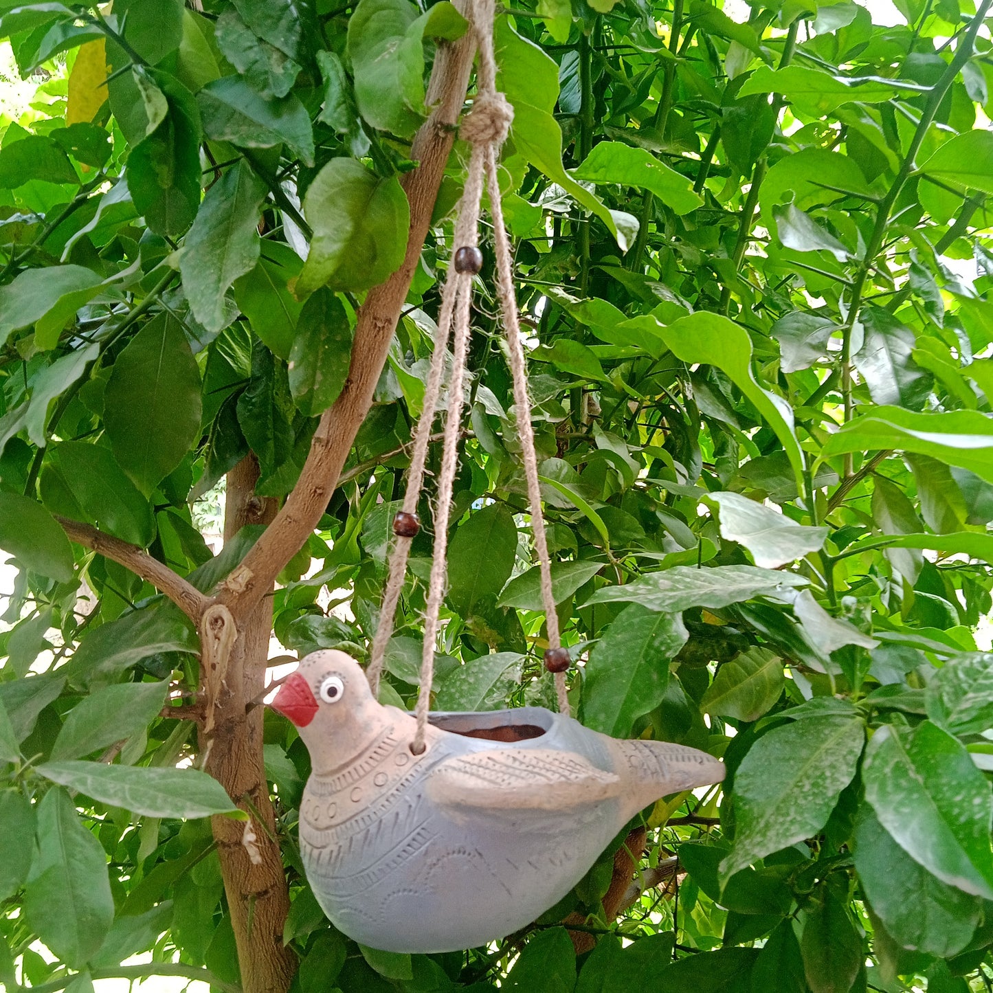 Hanging Bird Planter