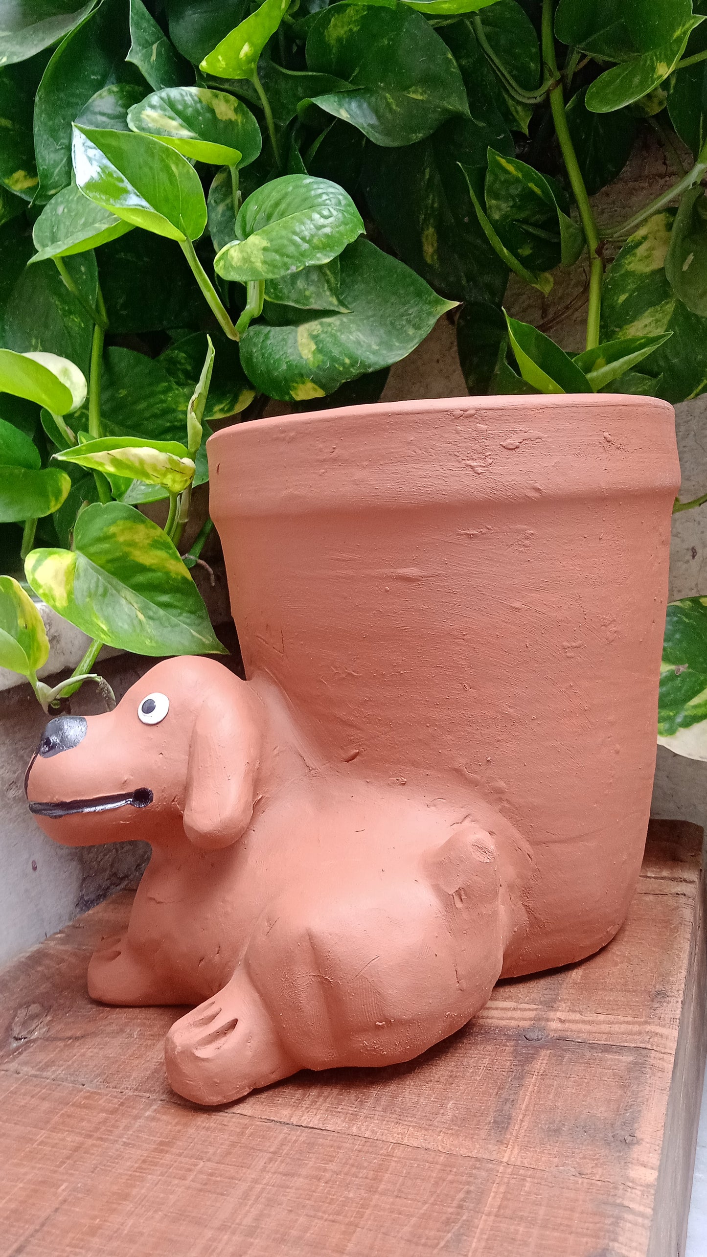 Painted Dog planter