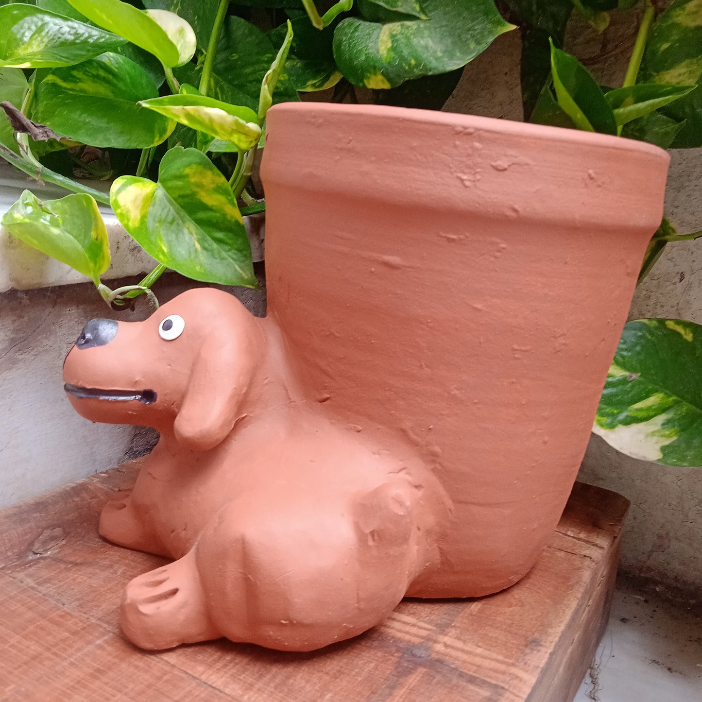 Painted Dog planter