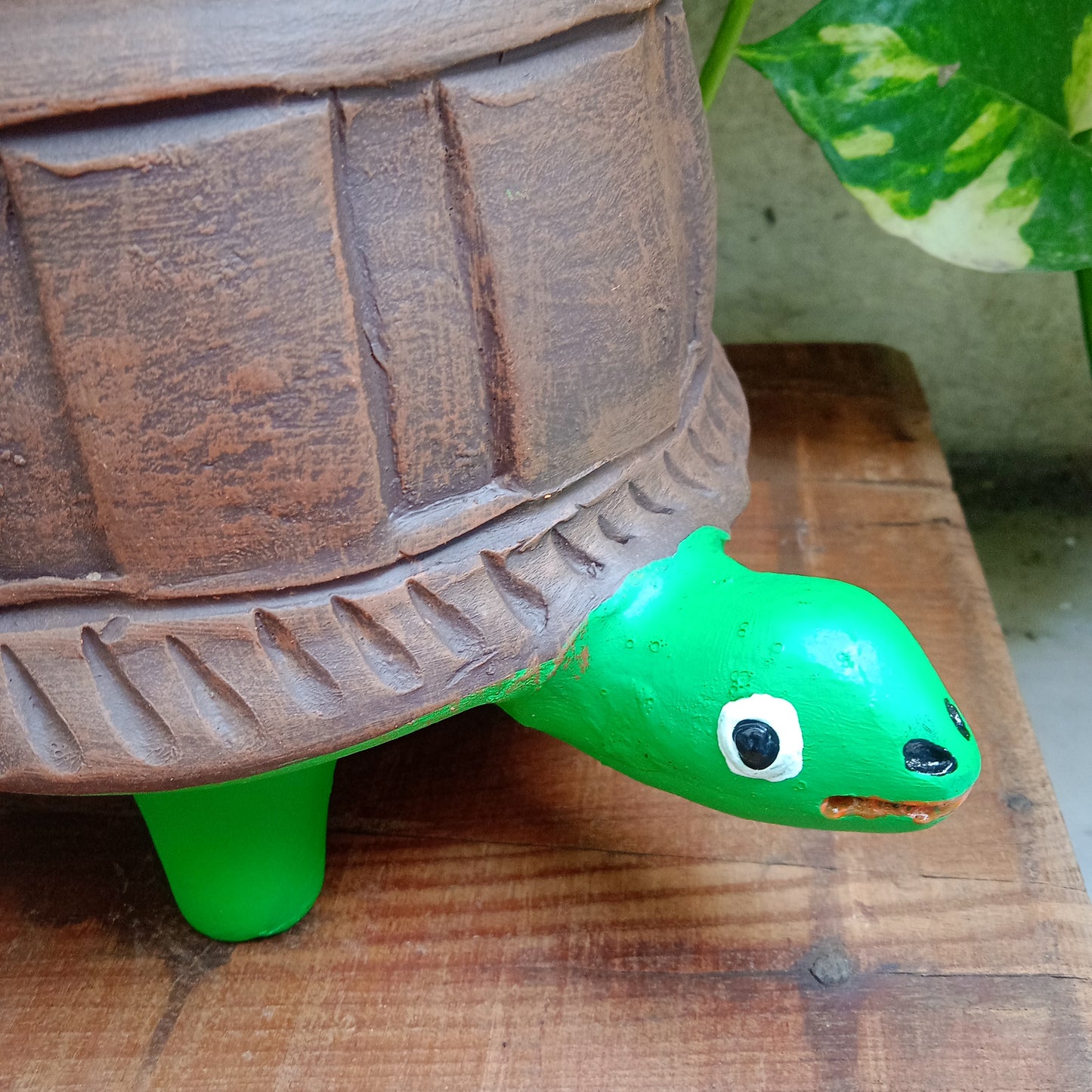 Painted Tortoise