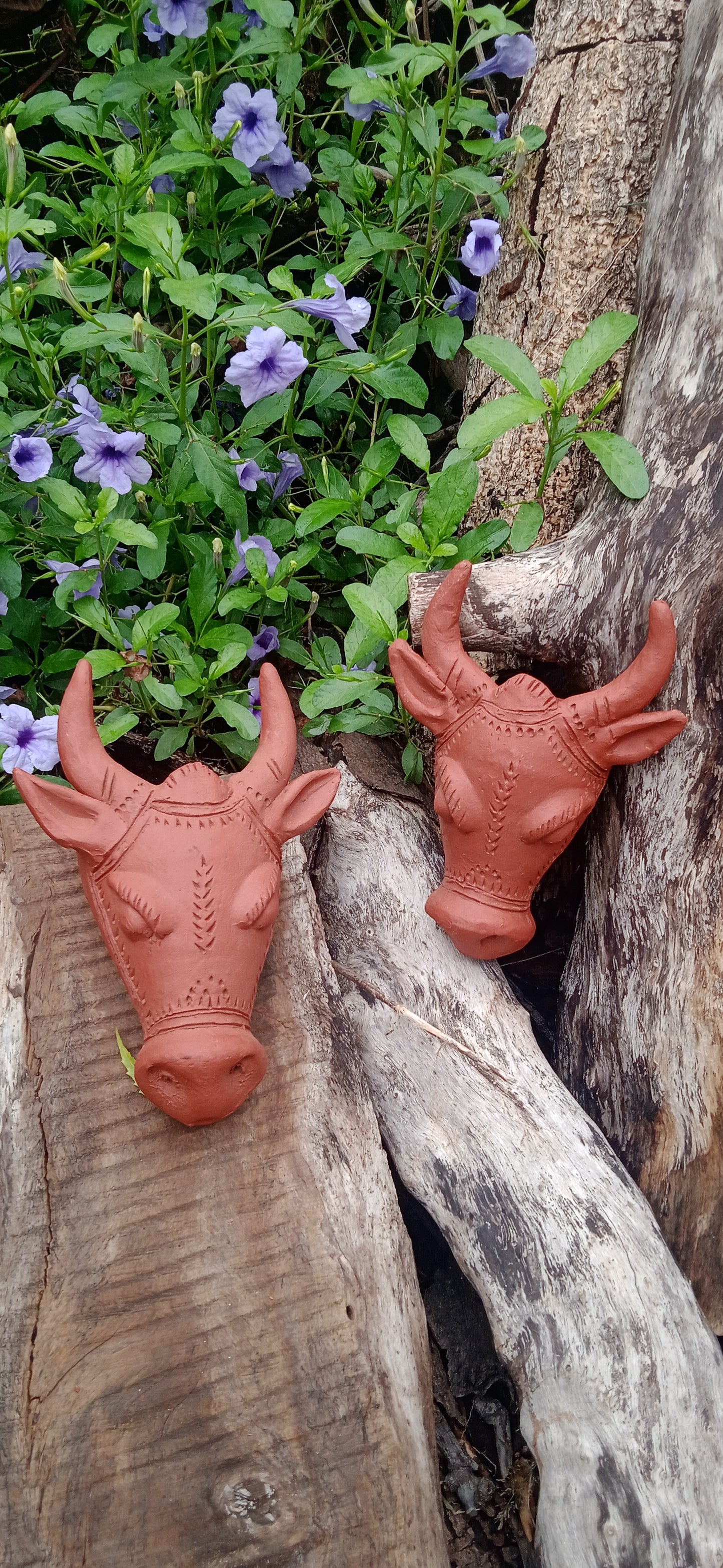 Terracotta Buffalo Head - Set of 2