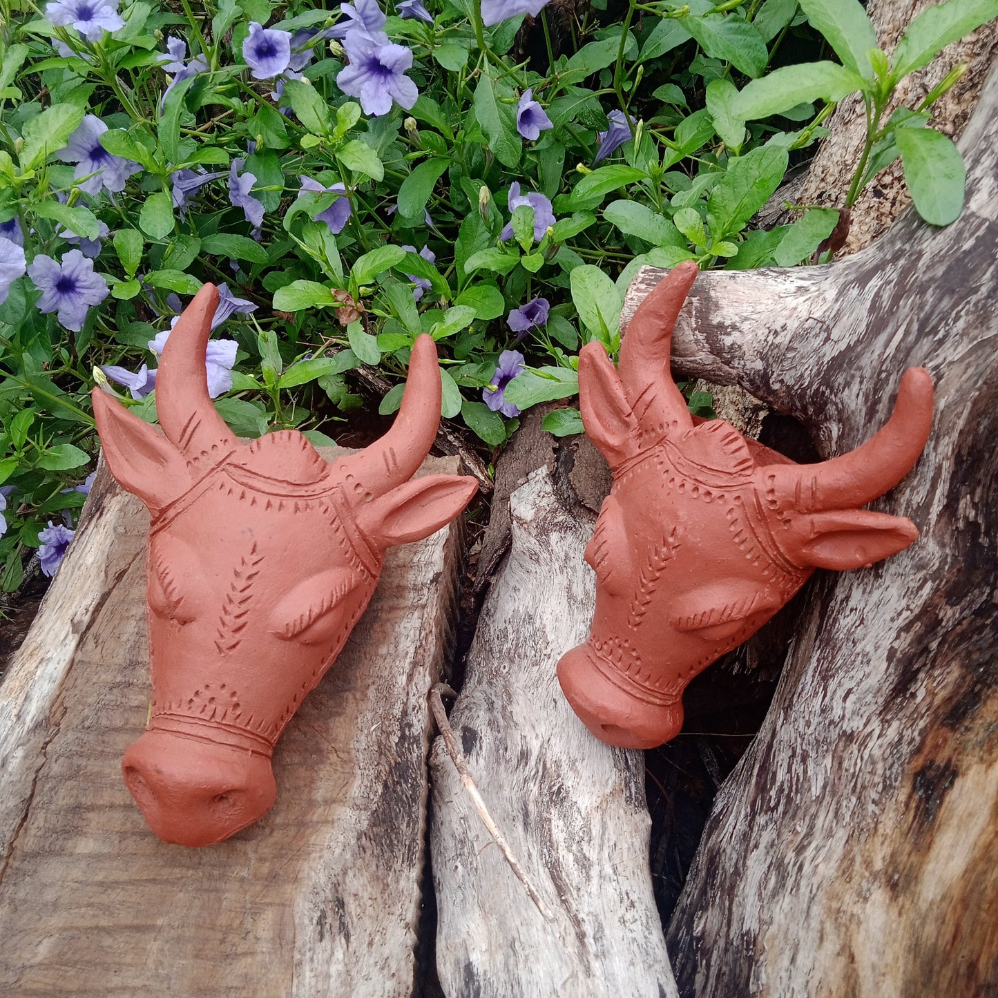 Terracotta Buffalo Head - Set of 2