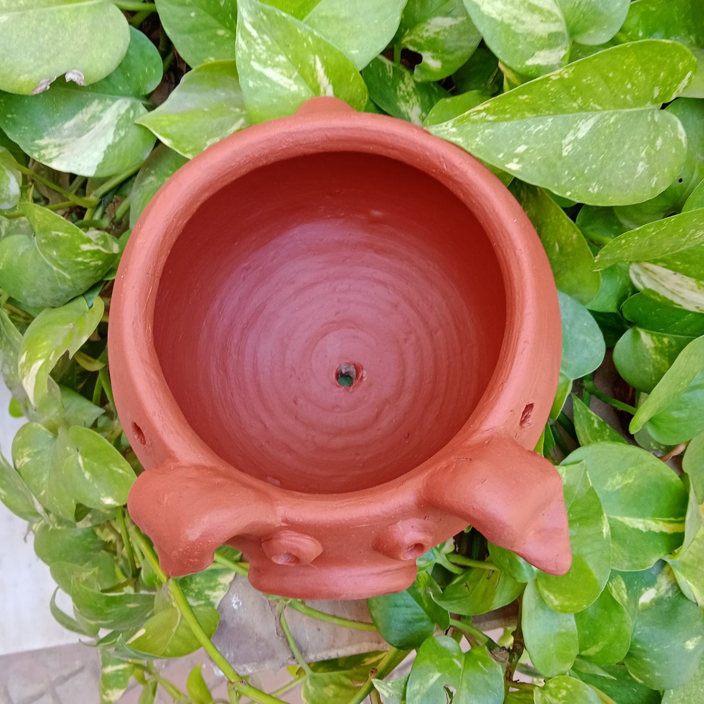 Terracotta Hanging Pig Planter