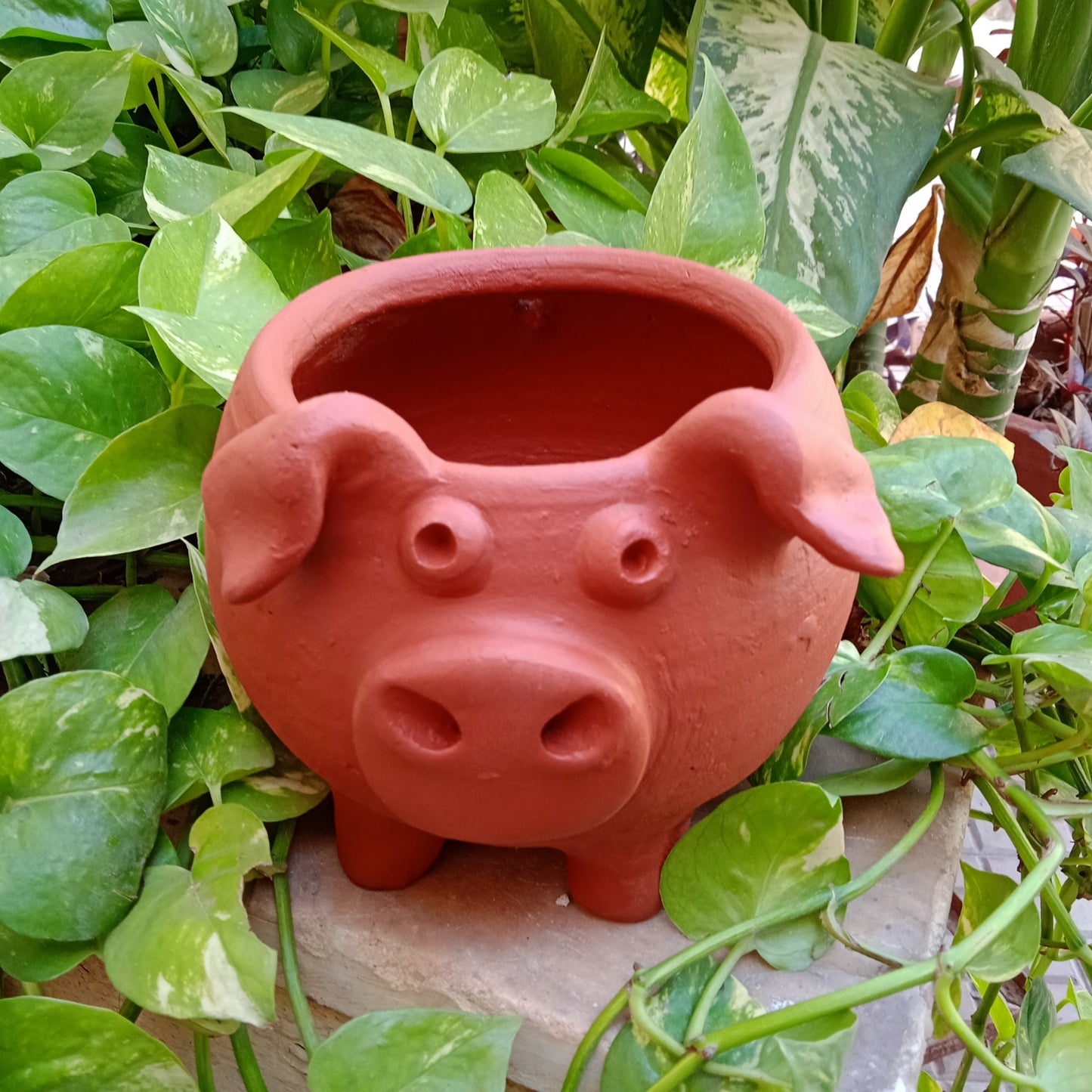 Terracotta Hanging Pig Planter