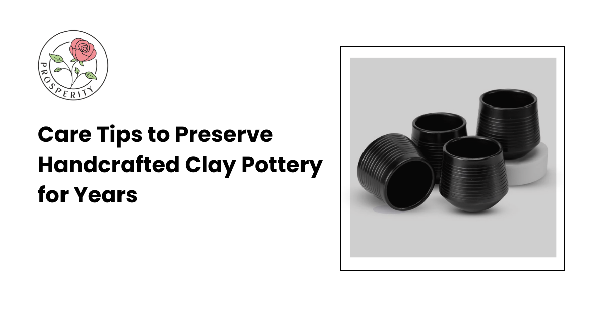 Care Tips to Preserve Handcrafted Clay Pottery – Prosperitymirra