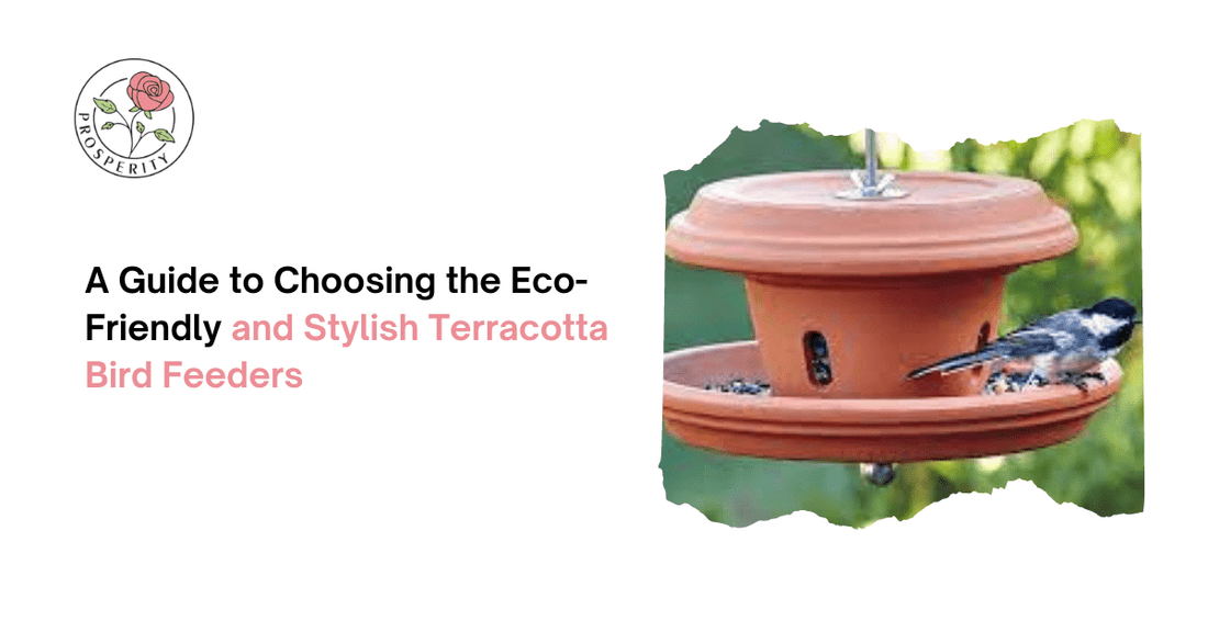 A Guide to Choosing the Eco-Friendly and Stylish Terracotta Bird Feeders