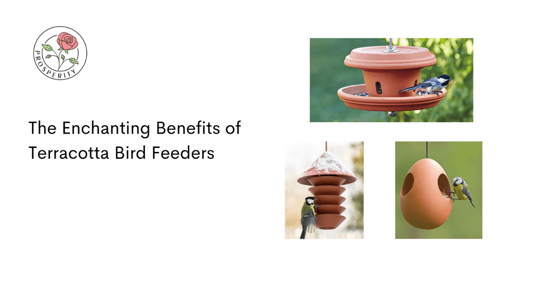 The Enchanting Benefits of Terracotta Bird Feeders