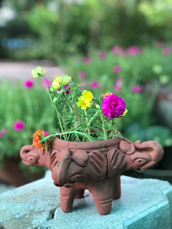 Handmade Terracotta Elephant Planter