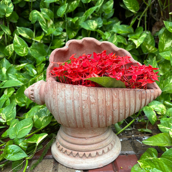 Terracotta Rustic Sea Shell Planter for Home & Garden Décor