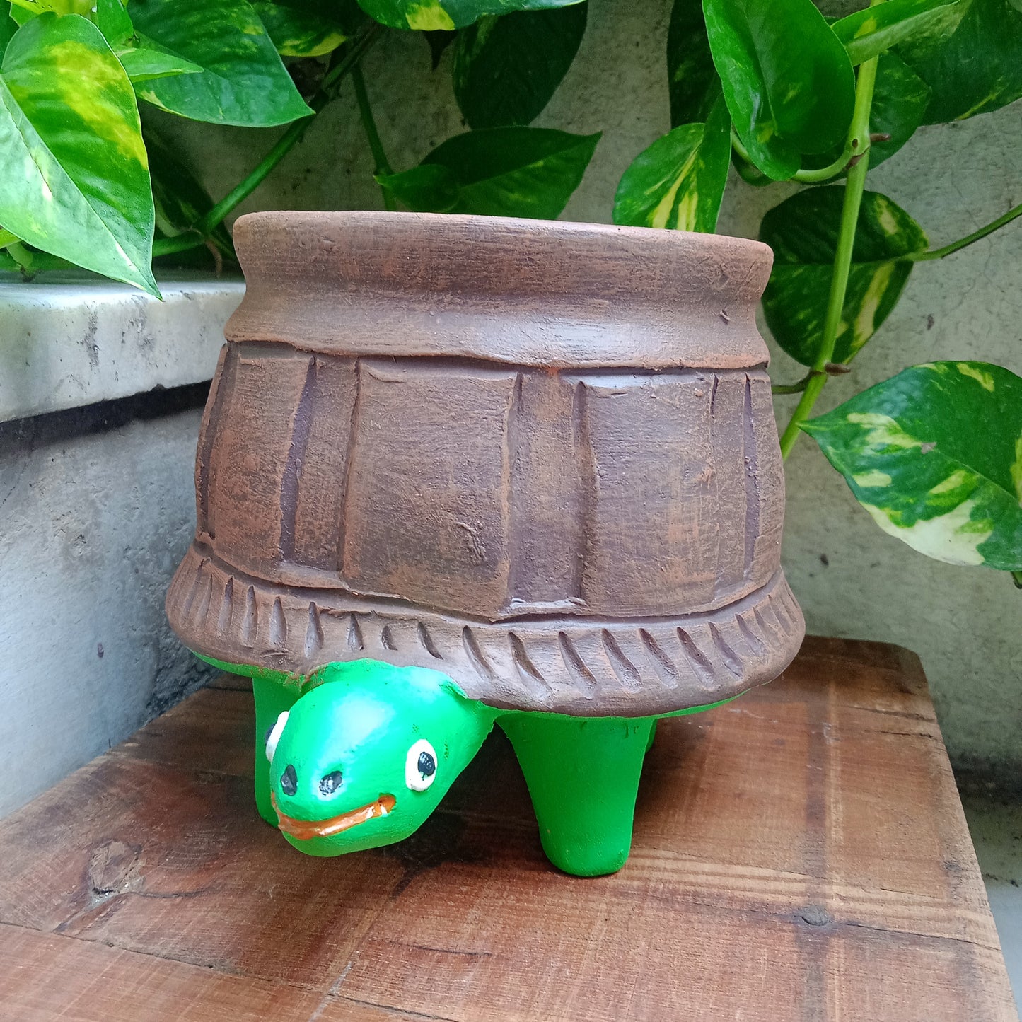 Painted Tortoise
