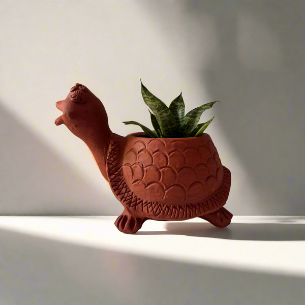 Handmade Terracotta Tortoise Planter